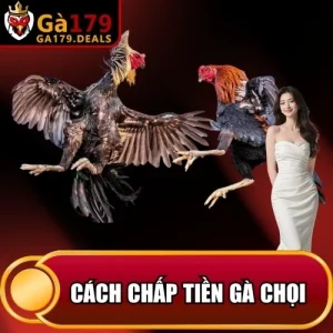 http://leogasga.co/wp-content/uploads/2026/04/cach-chap-tien-ga-choi.webp