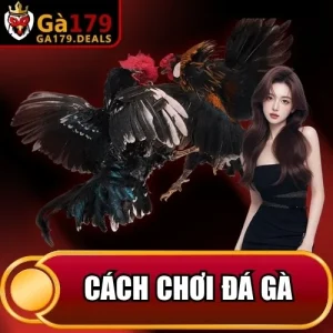 http://leogasga.co/wp-content/uploads/2026/04/cach-choi-da-ga.webp