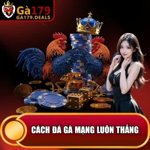 http://leogasga.co/wp-content/uploads/2026/04/cach-da-ga-mang-luon-thang.webp