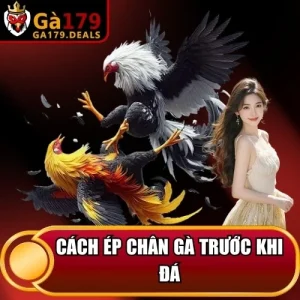 http://leogasga.co/wp-content/uploads/2026/04/cach-ep-chan-ga-truoc-khi-da.webp