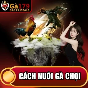 http://leogasga.co/wp-content/uploads/2026/04/cach-nuoi-ga-choi.webp