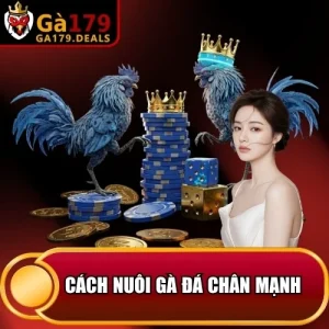 http://leogasga.co/wp-content/uploads/2026/04/cach-nuoi-ga-da-chan-manh.webp