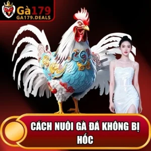 http://leogasga.co/wp-content/uploads/2026/04/cach-nuoi-ga-da-khong-bi-hoc.webp