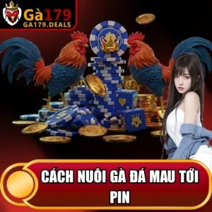 http://leogasga.co/wp-content/uploads/2026/04/cach-nuoi-ga-da-mau-toi-pin.webp
