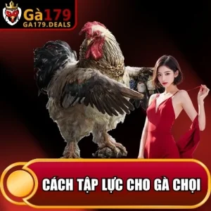 http://leogasga.co/wp-content/uploads/2026/04/cach-tap-luc-cho-ga-choi.webp