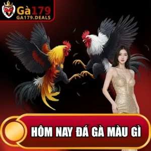 http://leogasga.co/wp-content/uploads/2026/04/hom-nay-da-ga-mau-gi.webp