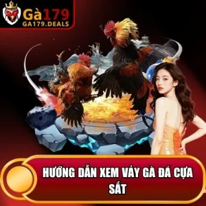 http://leogasga.co/wp-content/uploads/2026/04/huong-dan-xem-vay-ga-da-cua-sat.webp